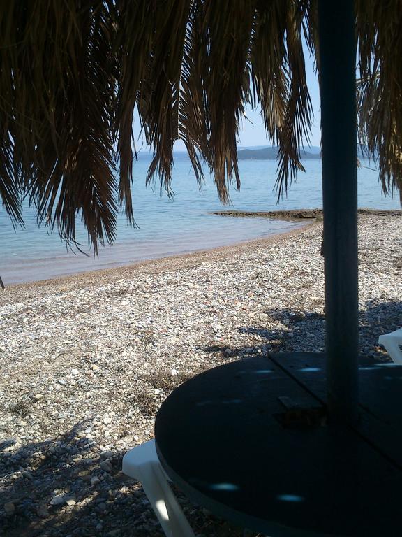 Evoikos Beach & Resort Λιβανάτες Εξωτερικό φωτογραφία