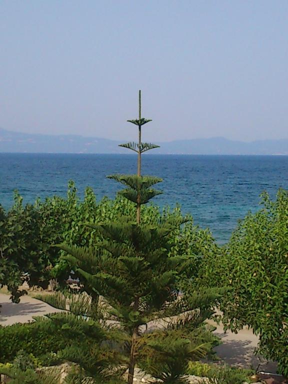 Evoikos Beach & Resort Λιβανάτες Εξωτερικό φωτογραφία