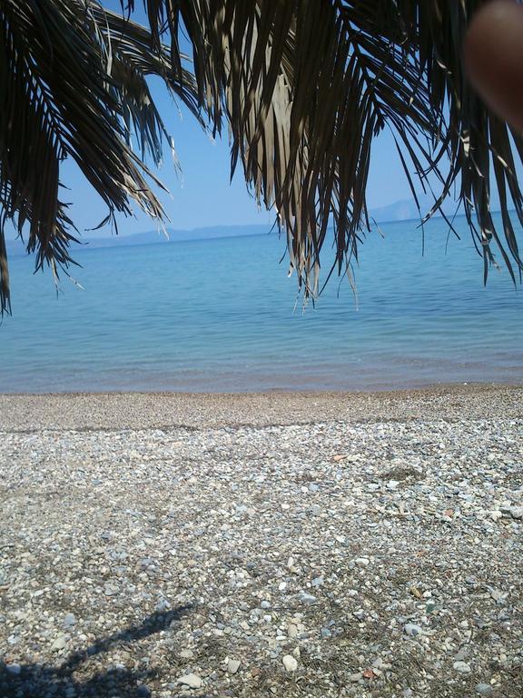 Evoikos Beach & Resort Λιβανάτες Εξωτερικό φωτογραφία