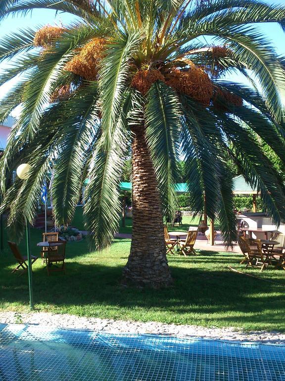 Evoikos Beach & Resort Λιβανάτες Εξωτερικό φωτογραφία